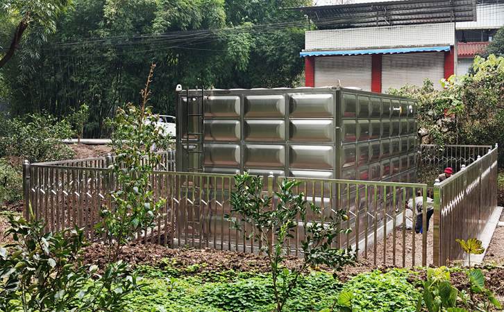 1764572615105432.jpg 303.jpg